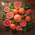 특대과 자몽 직수입 레드 자몽 항공직송 고당도 루비 1EA 2kg 4kg 8kg 17.2 kg : 망고당망고당