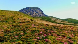[울산출발 등산여행] 11월1일~2일 제주도 한라산 백록담 정상등반 1박2일 패키지 : 돌고래여행사-돌핀스토어