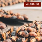 유기농 공주 정안 햇밤 피밤 1kg, 1개 : 볼보나농산