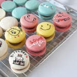 공방 꾸미기 베이킹 성취감 유니크 집데이트 집순이 집에서 집콕 체험 취미 노오븐 아이싱 마카롱 만들기 DIY 키트 : 백조 마켓