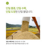 철원 밀키 오대 단일미 쌀 10kg 단일품종 단일벼 도정 잔류농약 불검출 25년산 햅쌀 : 게르마늄농장