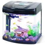 베타 물고기를 위한 플립탑 공급 포트가 있는 블루코코 4갤런 유리 수족관 스타터 키트 크리스탈 클리어 360 보기, 에코 사이클 필터링, 에어... 