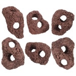 DOITool 6Pcs 다크 브라운 화산석 수족관 바위, 어항 장식용 듀얼 홀 식물 고정 장식품, 3.93x2.75x1.57인치 : 모구세일즈