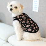 할미꽃 순면 김장 조끼 입기편한 국산 강아지옷 루나몽 애견 반려견 수면 실내 외출복 잠옷 : Lunamong