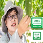 무농약 건조여주 말린여주 두루농원 300g 500g 1kg : 박혜련의  두루농원