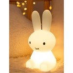 수면등 인테리어조명 토끼 취침등 수유등 캐릭터 테이블 무드등 램프 조명등 50cm 충전식(7컬러변색) : 글로벌딜팡