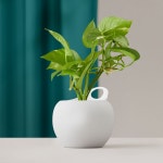 메이크정글 공기정화 수경식물 도자기 화분 포티 (2호) : 메이크정글