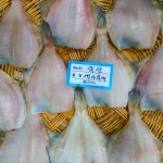 군산 참가자미 떡가자미 국내산 반건조생선 말린생선 구이·조림용 : 군산 명진건어물