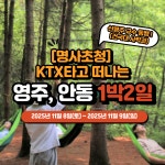 [명사초청]  KTX타고 떠나는  영주, 안동 1박2일(건국대 신병주 교수) : 주식회사쏙쏙
