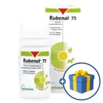 베토퀴놀 루비날 영양제 60정 신장질환 : 가온동물병원