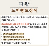 큰 사이즈 대왕 노지황토장어 1kg(손질 후 680g 내외) 국산 민물 자포니카 : 노지황토장어