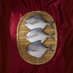 군산 병어 3마리 국내산 반건조생선 말린생선 구이·찜용 : 군산 명진건어물