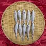 군산 조기 중 10마리 국내산 반건조생선 말린생선 프리미엄 : 군산 명진건어물