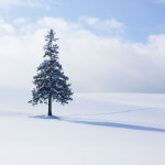 준페이 자동 예약확정 삿포로 후라노 비에이투어 일일 버스투어 홋카이도 : 흰그림자투어 주식회사