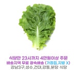 상추 청상추 B급 4kg 가락시장 내일 새벽6시 배송지역 식당만 직접배송 : 식당만 배송 마켓대리서비스