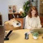 360 ° 회전 높이 조절 가능한 원형 데스크탑 캐터리 책상 리프팅 및 브래킷 고양이 클라이밍 프레임 침대 애완용품 : 에스디원산업