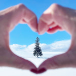 흰그림자투어 소규모 버스투어 삿포로 비에이 후라노 겨울 눈체험 투어 : 흰그림자투어 주식회사