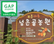 GAP보은대추 넘은골농원 28mm,30mm,32mm 선물용 생대추1kg : 보은대추 넘은골농원