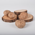 남여공용 티셔츠 린넨 긴팔 : 금자씨표고농장