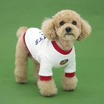 피너츠 스누피 강아지 기모 맨투맨 티셔츠 : ROICO