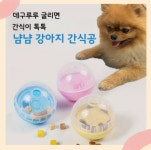 냠냠 강아지 간식공 고양이 간식볼 장난감 노즈워크 트릿볼 : 핫딜주식회사