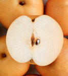 저탄소 GAP 햇배 산지직송 25년산 추석선물세트 프리미엄 7.5kg 선물용 명절선물 특A급 : 전주승원농장