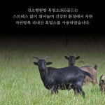 김소형 흑염소 진액 골드 자연방목 국내산 흑염소 30포 1박스 : 생기채움