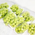 고당도 제철 샤인머스켓 4Kg 샤인거봉 당일수확출고 : 자바몰