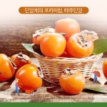 배감 고당도 경남 태추 단감 1kg~5kg : 해피행복스토어