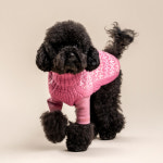 [알코워시]사인 핑크 알파카 강아지 스웨터 : 피넛테일