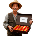 프리미엄 침향천마환 침향환 창출환 맥아환 : 영양제 마켓 효능