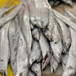 제주 뼈없는 순살 갈치 은갈치 5마리 : 누리담푸드