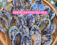 전복 1kg (13~15마리) : THE조은수산