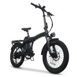 엑스트랙 프로 최대850W 접이식 출퇴근 배달용 전기자전거 48V 20Ah, 스텐실버, 50.8cm(20인치) : AU테크