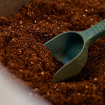 분갈이흙 땅심 바이오 분갈이 용토 분갈이용흙 10L 2개 총 20L : 로즈데코 온라인