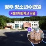 경북e누리 영주 청소년수련원+발효체험학교 띄움 : 경북여행몰