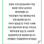 25년 강원도 인제 약초꾼 직접채취 자연산 송이버섯 1kg : 설악 산약초