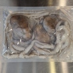 급냉 뻘낙지 목포 무안 신안 국산 낙지볶음 연포탕 : 목포낙지촌