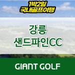 골프패키지예약 샌드파인cc1박2일 : 국내 해외골프 부킹예약센터
