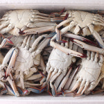 냉동 꽃게 급냉 연평도 암꽃게 최상급 1kg 활 산지직송 절단 : 자연제철식탁