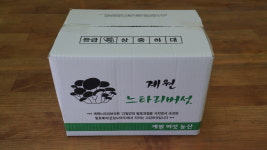[계원버섯농장] 새송이 느타리 1kg 2kg 발효살균법 고급 느타리 버섯 세트 : 안심농
