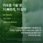 이니스프리 그린티 세라마이드 밀크 보습 에센스/수분 속건조 장벽 화잘먹 90ml, 1개 : 이니스프리