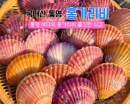 홍가리비 1kg : THE조은수산