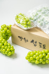 경치농원샤인머스켓 | [산지직송] 샤론포도농원 샤인머스켓 17Brix, 2kg, 1개 : 강화도 샤론포도농원