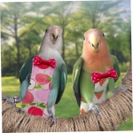 방수 안감과 조절 가능한 스트랩이 있는 6PCS 세탁 새 기저귀 - 잉꼬, 버지, 미니 마코, 비둘기를 위한 재사용 부드러운 앵무새 : 바나나하바나15