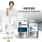 NMN효능 리포좀 고함량 효모nmn 90정, 2개 : 바이오진