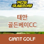 골든베이cc패키지 태안골프장 : 자이언트골프 국내해외 예약