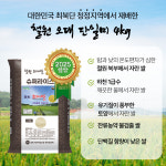 철원 오대 단일미 쌀4kg 단일품종 단일벼 도정 잔류농약 불검출 25년산 햅쌀 : 게르마늄농장