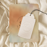 올센느 종이 방향제 차량용 실내용 화장실 룸미러 걸이용 태그방향제 사쉐 블랙베리앤베이 : 올센느