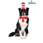 모자 반려동물 의상을 입은 닥터 수스 고양이 - 털복숭이 친구를 위한 상징적인 고양이 변신 - : 초이브